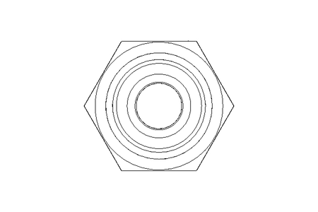 Ecrou collet battu L 6 G3/8" 1.4571