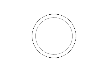 Dichtring G DN50 FPM DIN11851