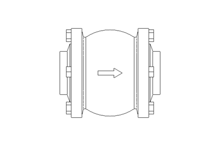 Check valve DN050 PN16