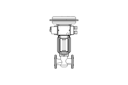 Stellventil DN 25 PN 16