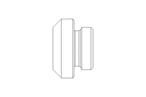 Verschlussschraube M10x1x5,0 A4