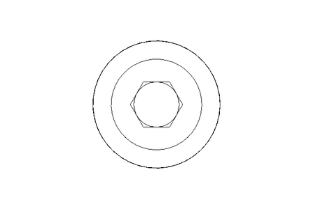 Verschlussschraube M10x1x5,0 A4