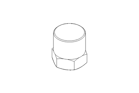 Tampão R3/8" 1.4571