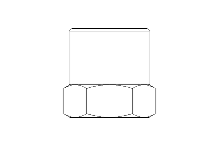 Tampão R3/8" 1.4571