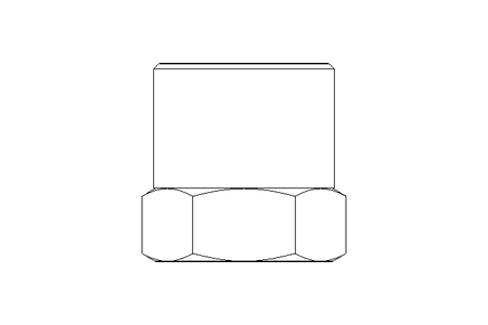 Bouchon R3/8" 1.4571