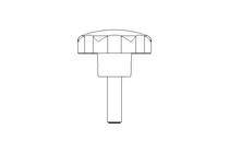 Sterngriffschraube St 32 M 6x20 A2