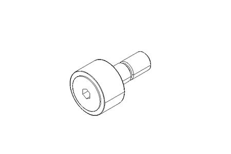 Kurvenrolle KR 19 PPX