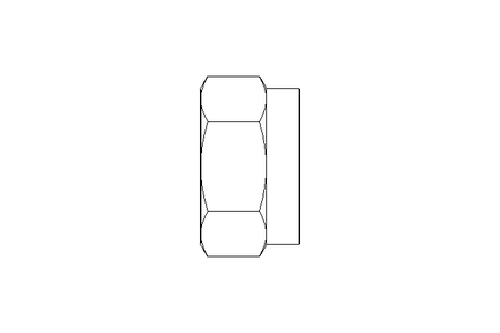 Tuerca hexagonal M12 St-Zn DIN985