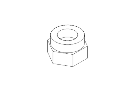 Hexagon nut M24x2 A2 DIN985