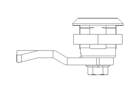 Drehriegel mit Zunge H14