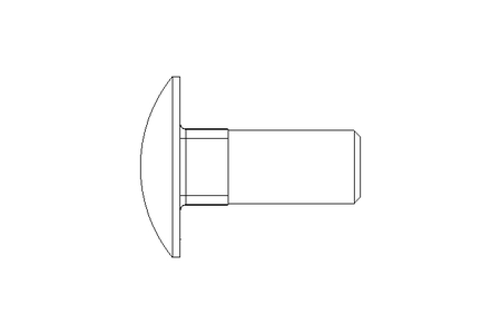 Round head screw M12x30 DIN603