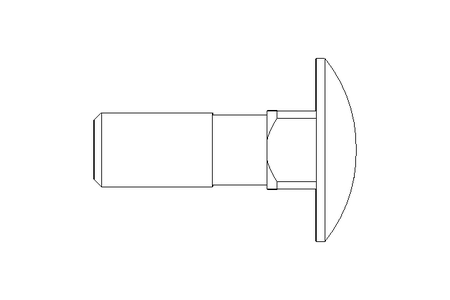 Vis à tête bombée M10x30 DIN603