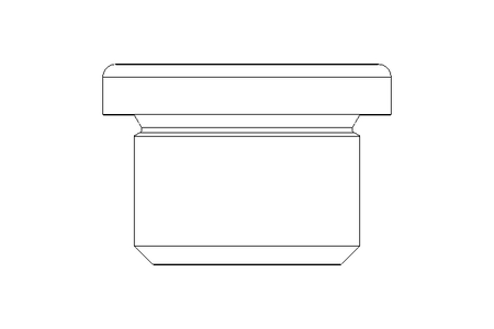 Verschlussschraube M18x1,5 A2 DIN 908