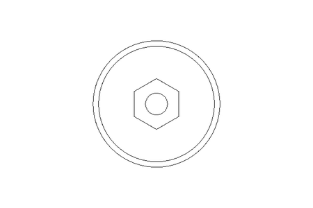 Verschlussschraube M18x1,5 A2 DIN 908