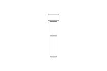 Zyl-Schraube M10x55 12.9 ISO4762