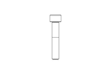 Tornillo de cab.cilínd. M10x55 12,9