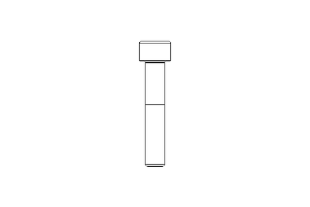 Tornillo de cab.cilínd. M10x55 12,9