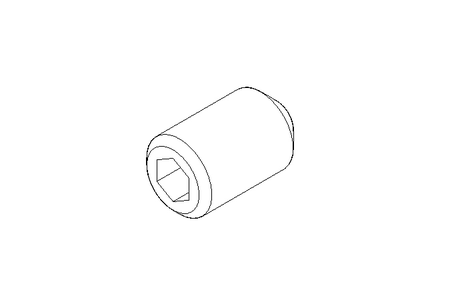 Parafuso sem cabeça M5x8 A2 DIN916