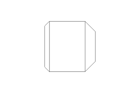 Parafuso sem cabeça M10x10 A2 DIN916