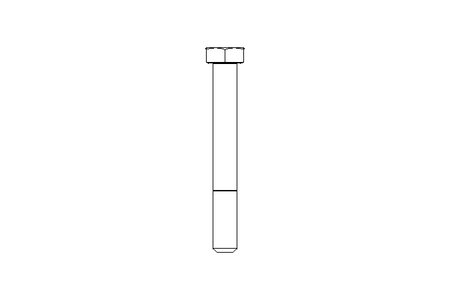 Tornillo cab. hexag. M10x80 A2 70