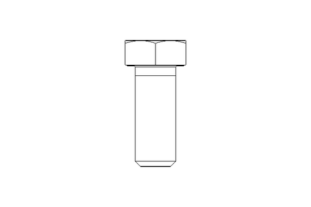 Tornillo cab. hexag. M24x60 A2 70