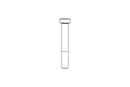 Zyl-Schraube M10x70 A2 70 DIN6912