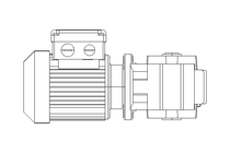 Motore a vite senza fine 0,25kW 199