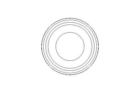 Dichtring DN1/2" EPDM