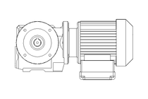 Worm gear motor 0.25kW 30 1/min