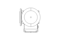 Worm gear motor 0.25kW 30 1/min