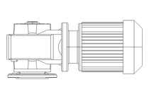 Worm gear motor 0.25kW 30 1/min