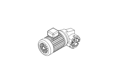 螺杆齿轮速电机 0,25kW 14 1/min