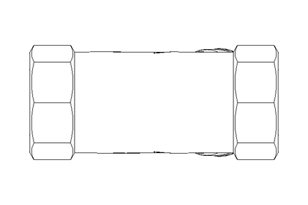 CHECK VALVE 2" BH120028