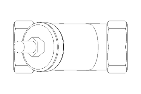 CHECK VALVE 2" BH120028