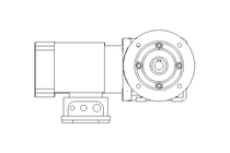 Worm gear motor 0.37kW 228 1/min