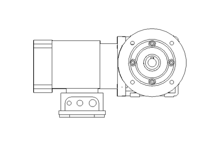 Motor engrenagem sem fim 0,37kW 228