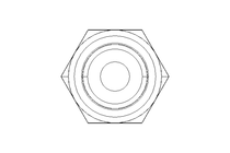 Pipe screw connector L 10 G1/4" 1.4571