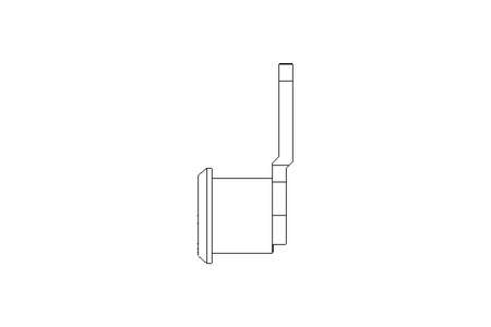 Drehriegel mit Zunge H20 Niro