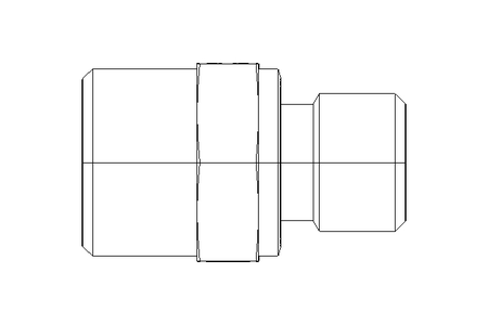 Conector roscado p/ tubos L 12 G1/4"