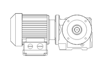 Worm gear motor 0.25kW 30 1/min