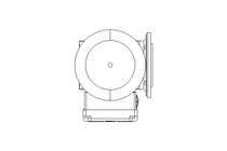 Worm gear motor 0.25kW 30 1/min