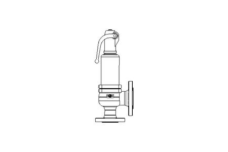 ARI SAFETY VALVE  DN32/50