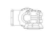 螺杆齿轮速电机 0,37kW 100 1/min