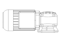 螺杆齿轮速电机 0,37kW 100 1/min