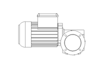 螺杆齿轮速电机 0,37kW 100 1/min