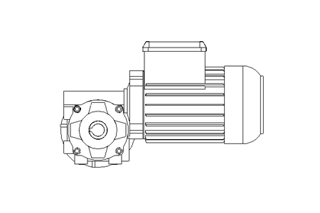 螺杆齿轮速电机 0,37kW 100 1/min