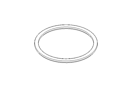 Dichtung FGN1 DN 125 FPM