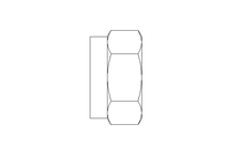 Tuerca hexagonal M12 A2 DIN985