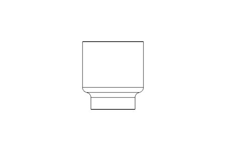 Anschweissmuffe G3-1/4" / DN10 1.4404