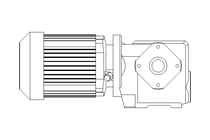 Motor engrenagem sem fim 0,25kW 199